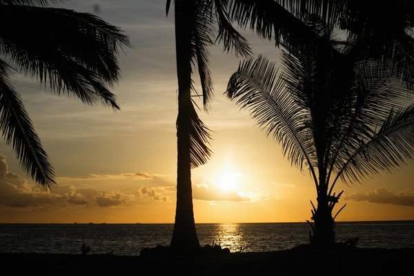 Chercheur d'or : partez à la découverte des Pyrénées Orientales