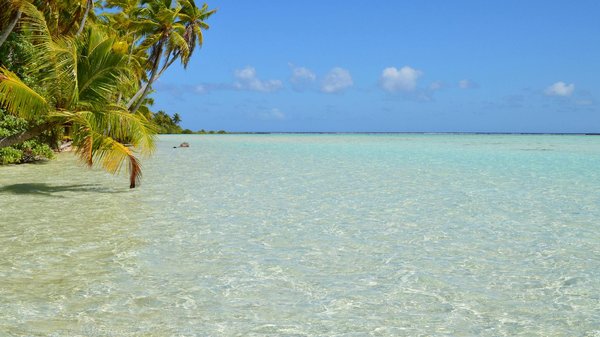 Destination pour un séminaire d'entreprise : profitez de l'occasion pour découvrir la splendeur de la Corse