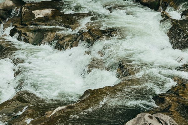 Quelles sont les meilleures croisières pour participer à des festivals culturels et artistiques côtiers ?