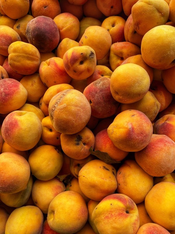 Comment choisir le bon équipement pour la pêche à la mouche en camping ?