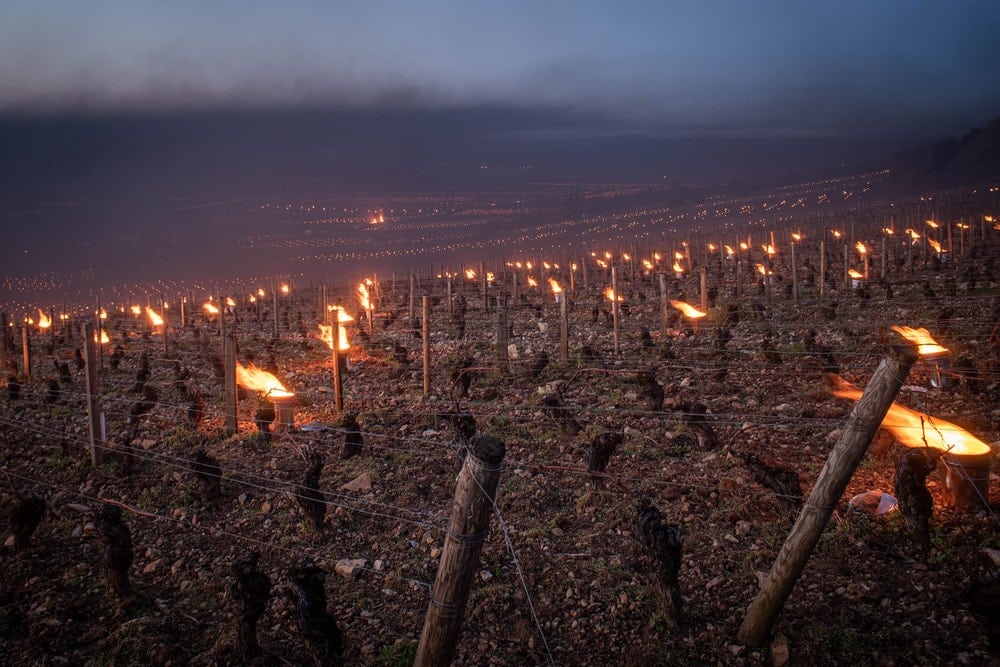 Peut-on louer des lieux de séjour dans des vignobles bio ou durables ?